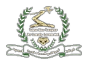 الخط الامن logo